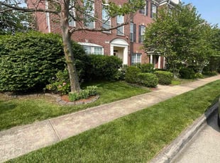 Lisa D.'s lawn care services service result