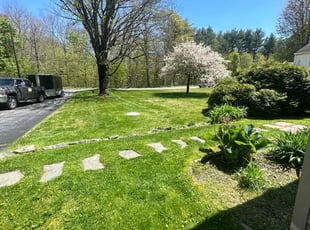 Pam J.'s lawn maintenance service result