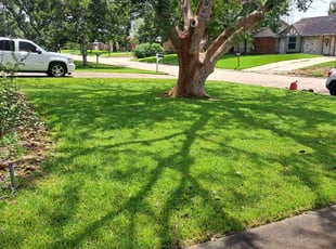 Kathy C.'s grass cutting service result