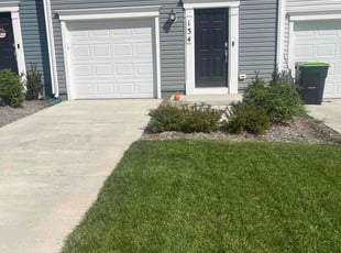 Deane C.'s lawn service service result