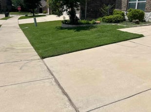 Tomeka H.'s lawn maintenance service result