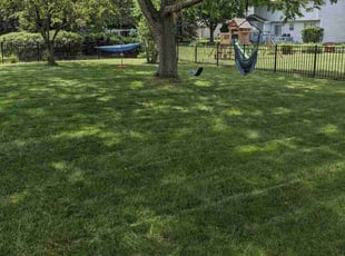 Jessica W.'s lawn maintenance service result