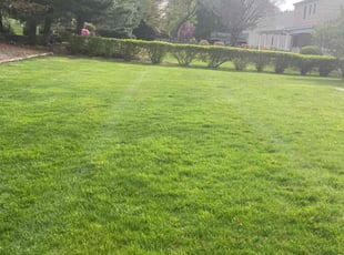 Simeon J.'s lawn care services service result
