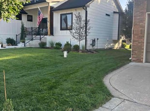 David V.'s grass cutting service result