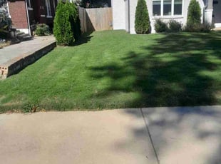 Chacara G.'s lawn maintenance service result