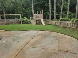 Shaphon C.'s lawn care service result