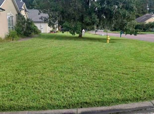 Gerry O.'s turf maintenance service result