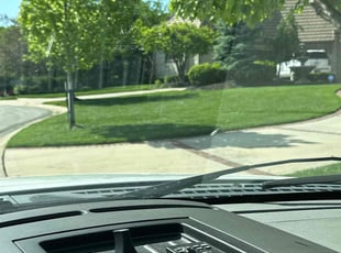 Michael E.'s turf care service result