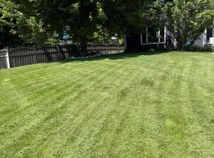 Virginia S.'s turf care service result