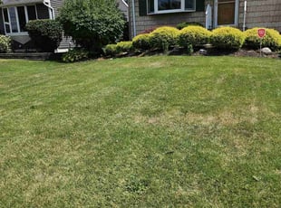 Erica W.'s grass cutting service result