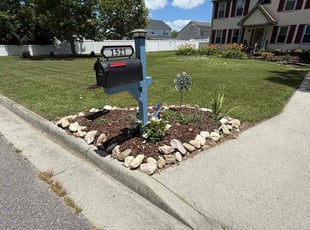 Liz B.'s grass maintenance service result