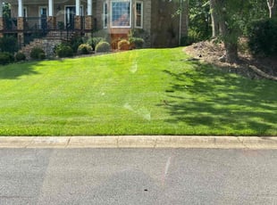 Steven E.'s lawn care service result