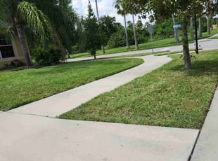 Dwane E.'s turf maintenance service result