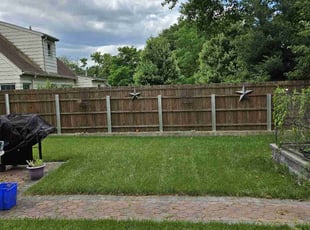 Sarah B.'s turf care service result