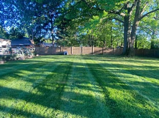 Ahmed A.'s grass maintenance service result
