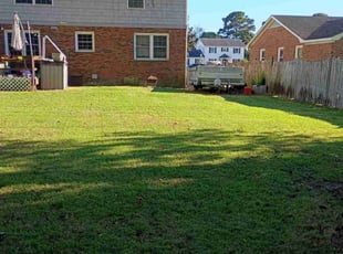 Shira C.'s lawn care services service result
