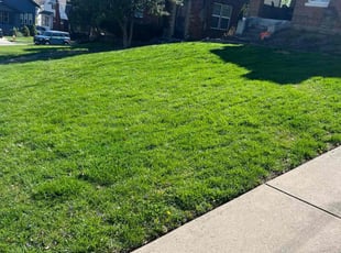 Sukhkaran G.'s lawn care service result