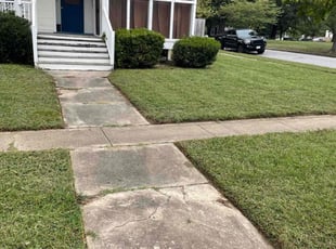 Patricia N.'s lawn maintenance service result