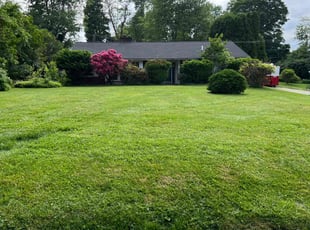 Tuesday W.'s lawn service service result