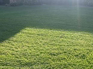 Cindy W.'s lawn care services service result