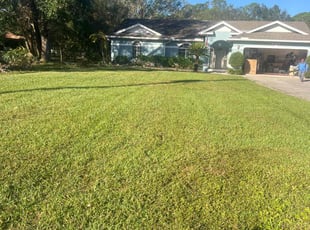 Sandra M.'s lawn care service result