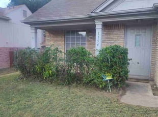 Will H.'s Bush Trimming service result