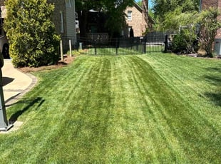 Kumar R.'s lawn care service result