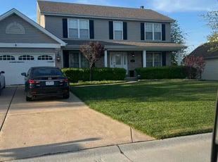 Alan M.'s Leaf Removal service result