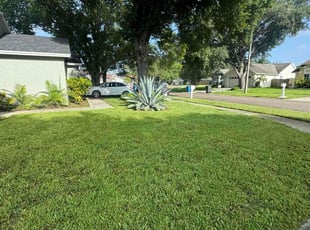 Linda G.'s Weed Pulling service result