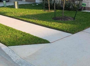 Sandra K.'s turf care service result