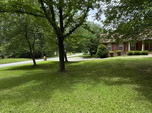 Veron W.'s grass cutting service result