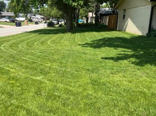 Michelle R.'s grass maintenance service result