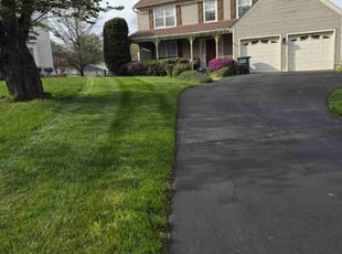 Racquel J.'s grass maintenance service result