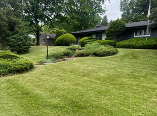 Beth K.'s turf care service result