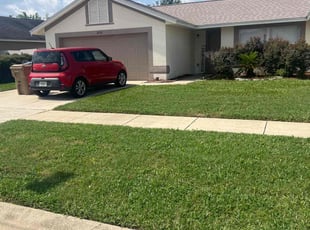Joann P.'s lawn care service result