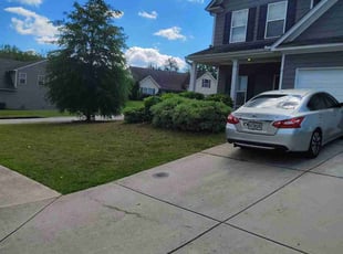Lavora H.'s Bush Trimming service result