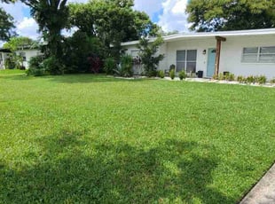 Micheal C.'s grass cutting service result