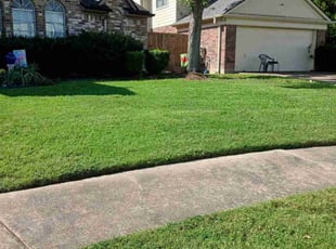 Vijay G.'s grass cutting service result