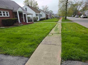 Susan P.'s turf maintenance service result