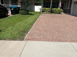 Mary K.'s turf care service result