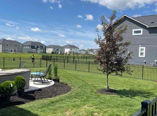 Chris H.'s lawn service service result