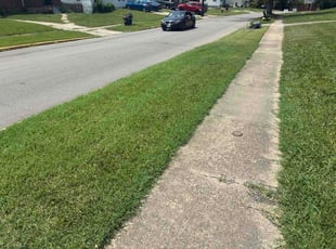 Louise L.'s lawn care service result