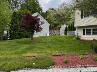 Freda W.'s turf care service result