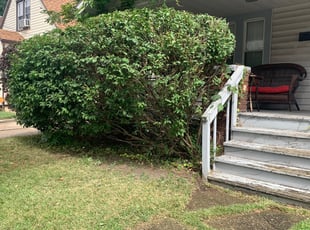 Ryan J.'s Bush Trimming service result