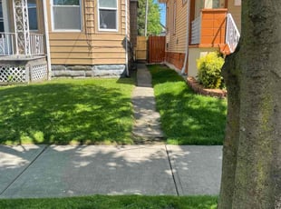 Karthic C.'s grass cutting service result
