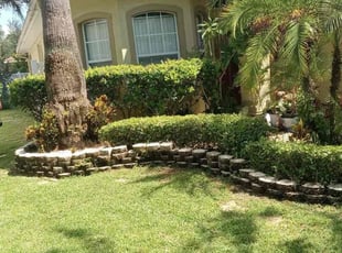 Ashleigh H.'s grass maintenance service result