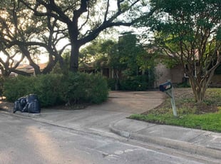 Ankit B.'s Leaf Removal service result