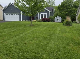 Edward B.'s lawn care services service result