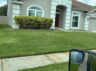 Nick L.'s lawn service service result