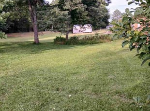 Vanessa A.'s lawn care services service result